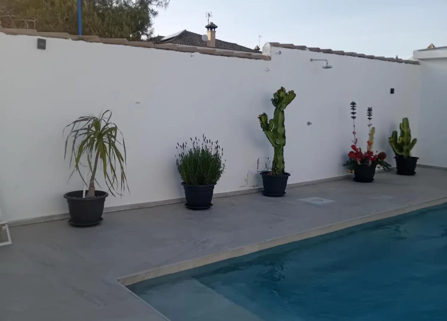Willa El Olivo Chiclana de la Frontera Dom wakacyjny
